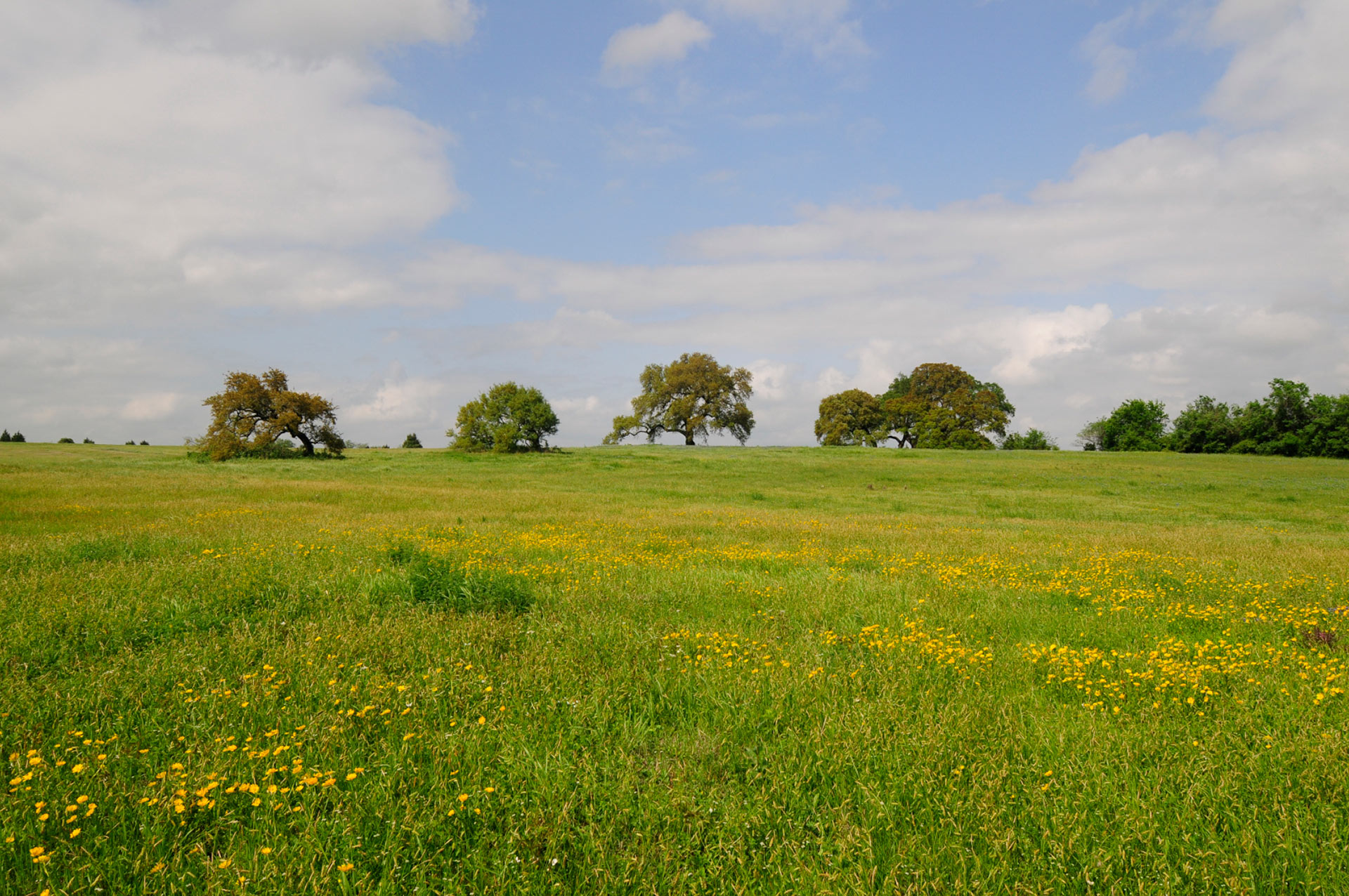 Country Communities - Windy Meadows Country Communities - Windy Meadows
