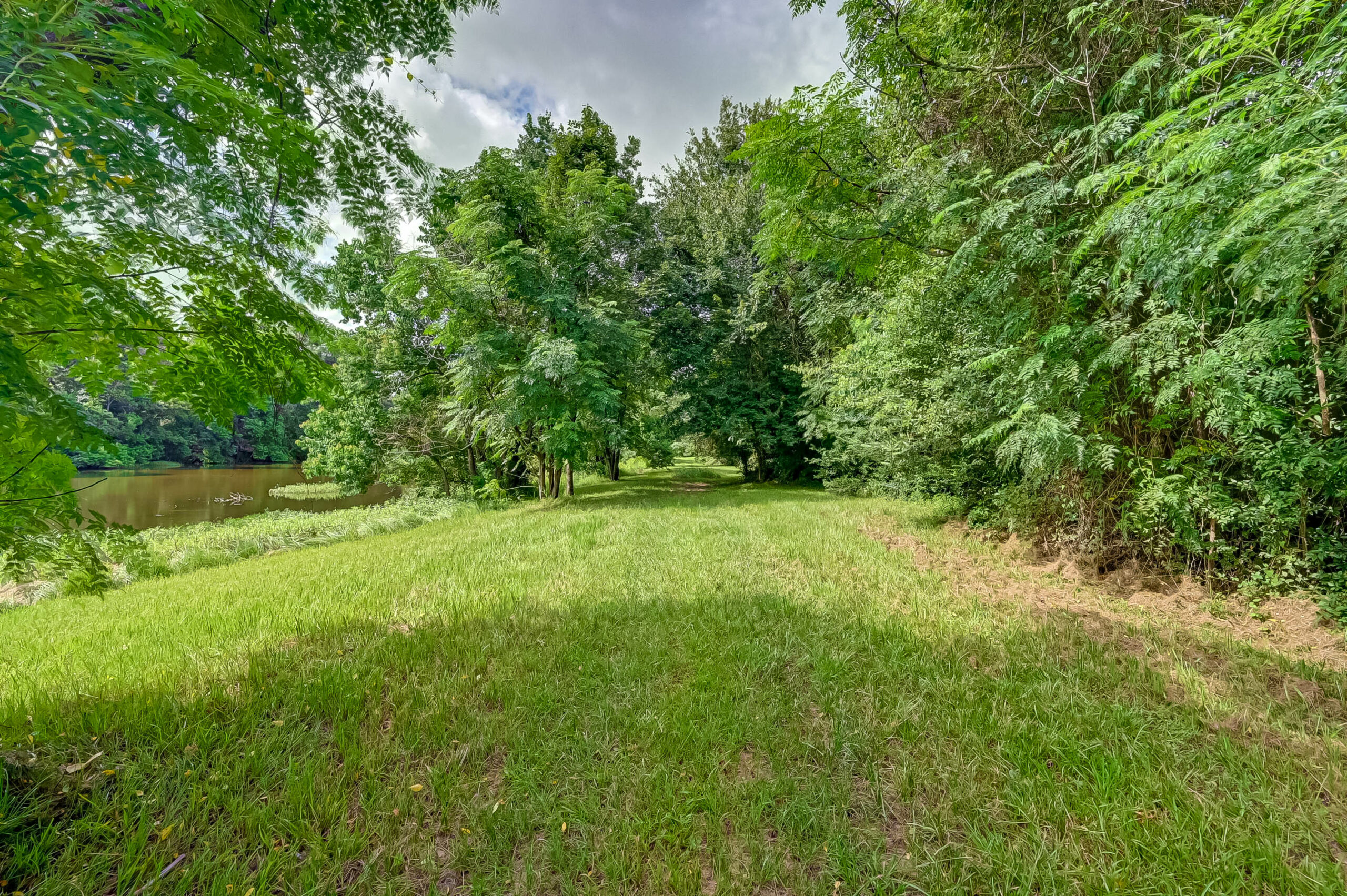 Country Communities - The Homestead Chappell Hill Real Estate